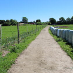 3._fieldpath