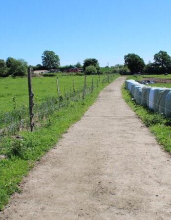 3._fieldpath