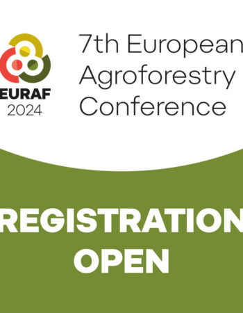 Registration Open Brno 2024