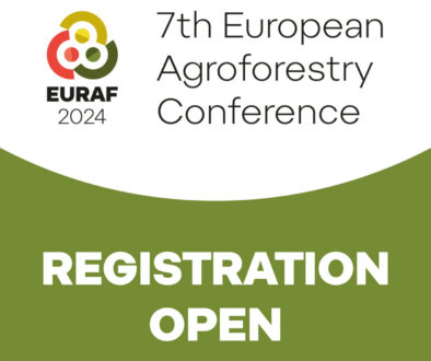 Registration Open Brno 2024