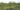 Stora Juleboda Agroforestry_Permaodlingen Stora Juleboda Agroforestry_Permaodlingen