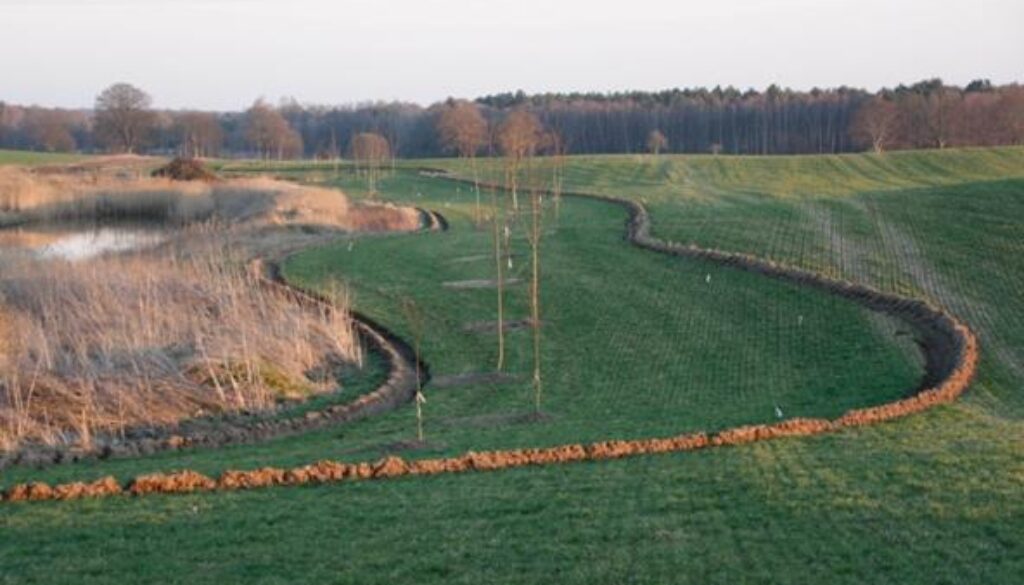 juchowo_farm_pic_2