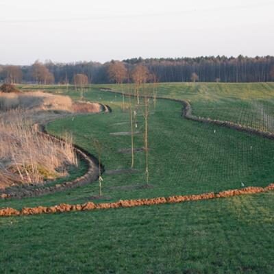 juchowo_farm_pic_2