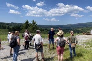 Group of agroforestry experts and lovers in Transylvania