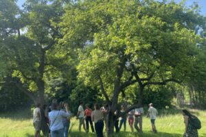 Workshop participants gather under the trees during a field visit
