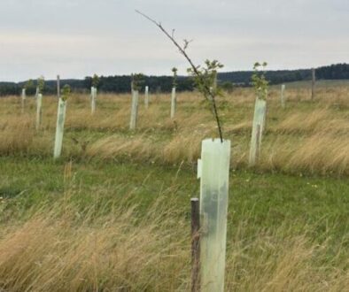 Ekrano kopija 2025-11-10 125813